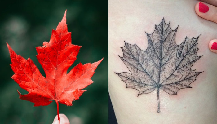 canadian maple leaf outline tattoo